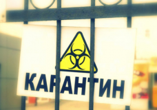 Түркістан облысының полицейлері апта ішінде карантин талаптарын бұзушылықтың 10 жайтын анықтады
