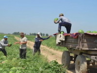 Жеке кәсіп ашушылар көбейіп келеді