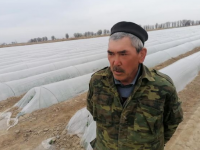 Жетісайлық дихан тамшылатып суғару әдісімен 12 гектар аумаққа бақша дақылдарын еккен