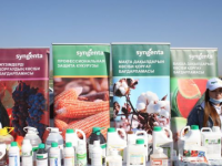 Мақтааралда бір алқаптан 2-3 өнім алу бойынша аудандық семинар өтті