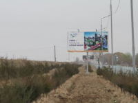 Атакент-Мырзакент тас жолының бойы жасыл желекке айналады