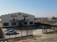 Мақтааралда