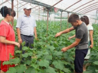 500 гектар аймақ жаңбырлатып суару тәсіліне көшеді