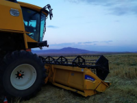 Ақ егіс науханы аяқталуға жақын