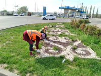 Ордабасы ауданында 27466 тал көшеті мен 31000 түп гүл отырғызылды