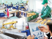 Кәсіпкерлікпен айналысушылар көбейіп келеді