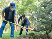 «Жасыл Елдің» жастары марапатталды
