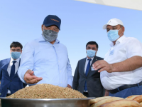 Түркістан облысында 3 млн.тонна көкөніс пен бақша өнімдері жиналды