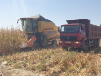 Ордабасы ауданында қысқы мал азығы қоры дайын