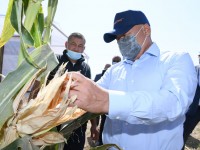 Түркістан облысында күзгі өнім 3,5 миллион тоннаны құрайды