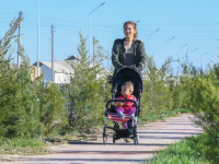 Түркістан көшелері жасыл желекке айналды