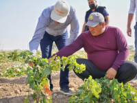 Ордабасыда ауқымды инвестициялық жобалар жүзеге асырылуда