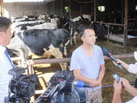 Түркістан облысының тұрғыны тәулігіне бір тонна сүт өндіреді