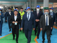 Түркістан облысында еліміздегі ең ірі мал бордақылау кешені салынды