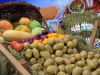 Түркістан облысында агроөнеркәсіпке 30 млрд. инвестиция тартылды