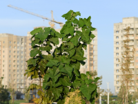 Түркістан облысында көпқабатты үйлер жаңа жүйемен басқарылады