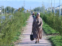 Түркістанды абаттандыруға облыс тұрғындары атсалысуда