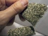 Түркістан полицейлері шекарадан есірткі алып өтпек болған  Өзбекстан тұрғынын ұстады