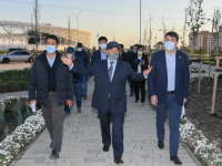 Облыс басшысы Түркістанды абаттандыру бағытындағы жұмыстарды саралады