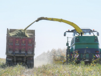 Түркістан қаласы айналасында 11 мың гектарға азық-түлік белдеуін құру жобасы жүзеге асырылуда