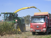 Түркістан облысында жалпы егістікті әртараптандыру жұмыстары жүргізілуде