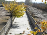 Экономиканы дамытуда ауыл шаруашылығы негізгі рөлді атқарады