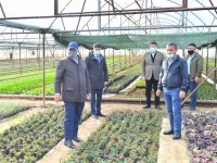 Бір алқаптан үш рет өнім алады