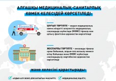 Алғашқы медициналық санитарлық көмек қалай көрсетіледі?