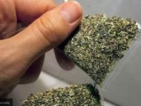 Алматылық тұрғын шекарада есірткімен ұсталды