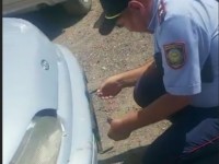 Жалған нөмір таққан жүргізуші жауапқа тартылды