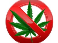 Шекарадан есірткі алып өтпек болған шетелдік ұсталды