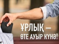 Түркістан облысында пәтер, мал ұрлығының ашылуы артқан