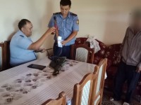 Қару сақтау ережесін бұзғандар жауапқа тартылды