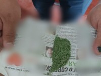 Ауласында сора еккен тұрғын ұсталды