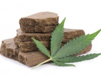 Өзбекстандық  «гашишпен» ұсталды