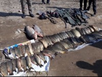 Браконьерлердің ісі сотқа жолданды