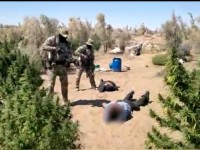 Есірткі егістігі анықталды