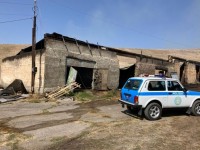 Фермадағы өрт бойынша тергеу жүргізілуде