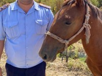 Алғыс арқалаған полицейлер