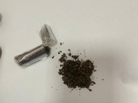 Иттің көмегімен шекарадан есірткі алып өтпек болған шетелдік ұсталды