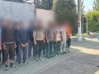 Көші-қон заңнамасын бұзған 10-нан астам жайт анықталды