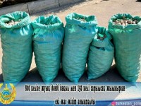 800 келі дәнді дақыл мен 150 келі сарымсақ ұрлап ұсталды