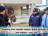 Қараусыз атты ел қауіпсіздігі үшін ұстап иесіне тапсырды