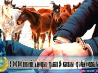 Мал ұрлап үш жылға сотталды