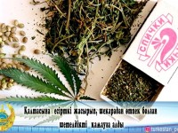 Шекарада есірткімен ұсталды