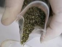 Клементина шетелдіктен есірткі табуға көмектесті