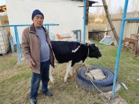 Жоғалған малдарды тауып иелеріне қайтарды