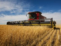 Қамба сатыққа толды