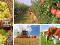 Қысқа ерте қамданатын иассы ауылдық округі