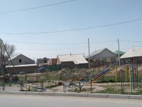 Шорнақта біткен іс көп